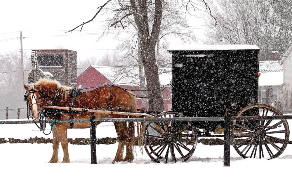 Christmas In Amish Country