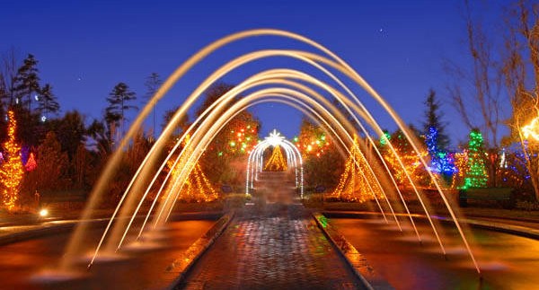 Holidays At The Garden