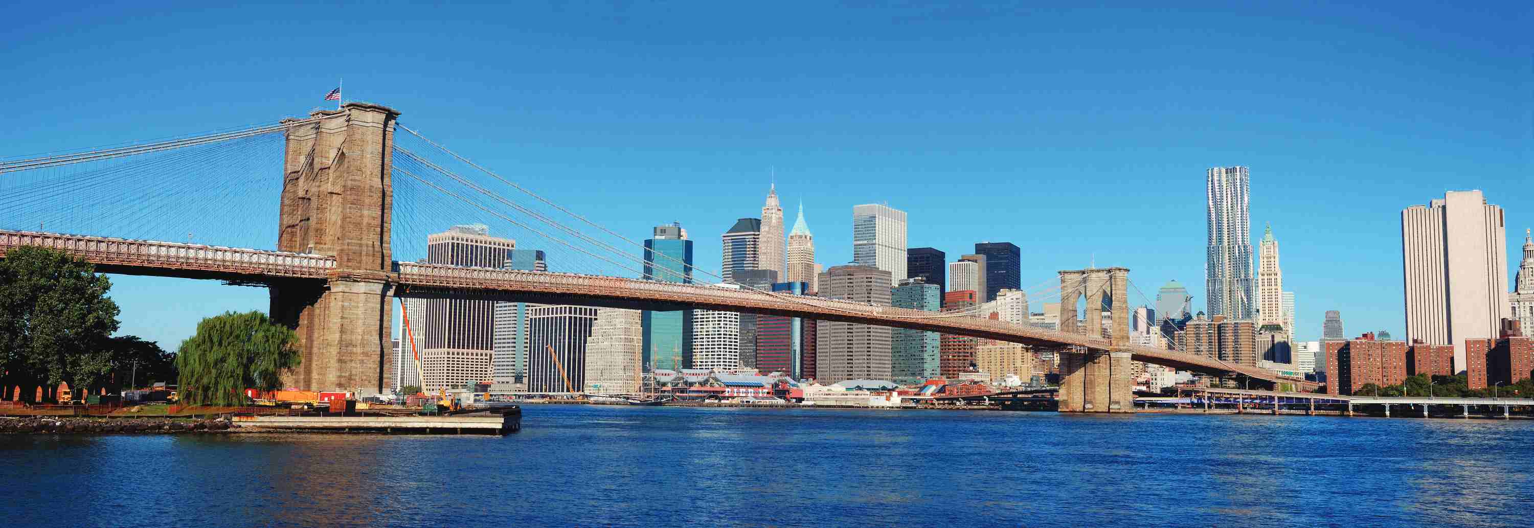 New York Red-eye