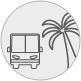 Bus and palm tree